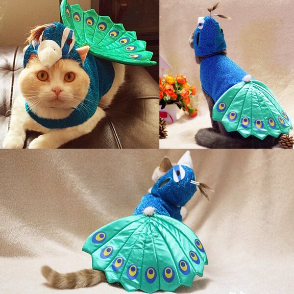 Ji Zaizai's new explosion hot -selling pet supplies Market Blue…