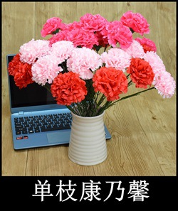 单枝康乃馨