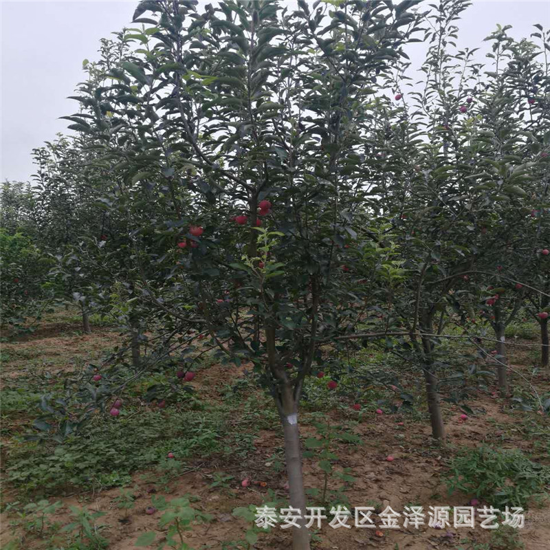 微信图片_201709101603055