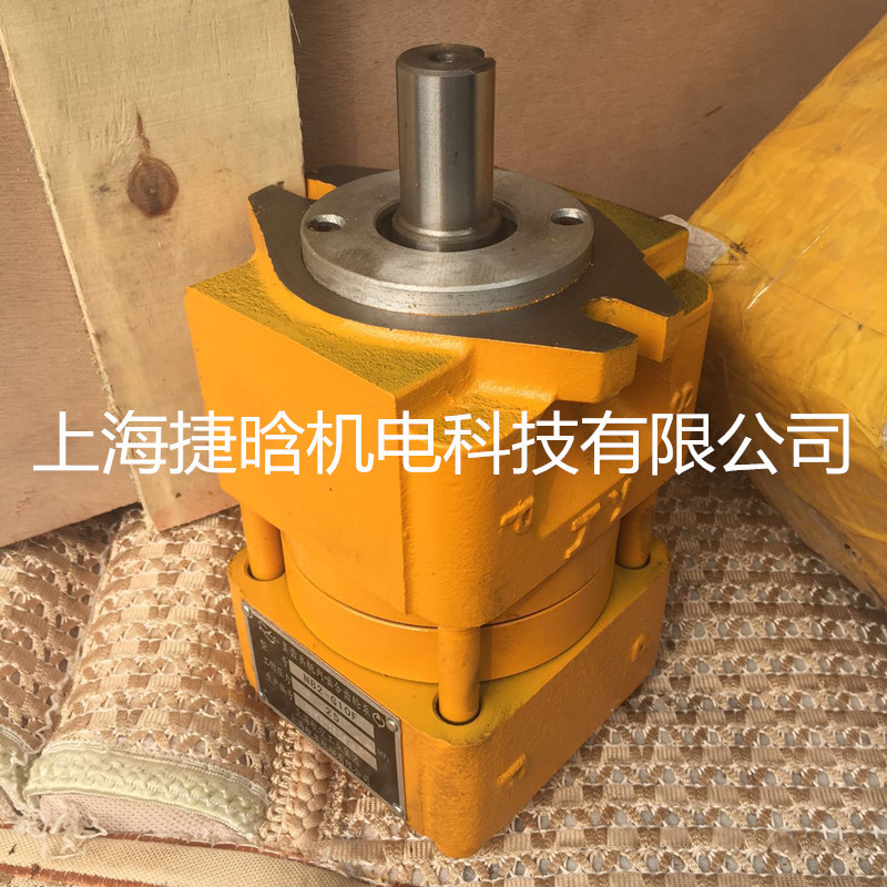 上海航发液压泵 NB2-G10F 铸铁 直齿共轭内啮合齿轮泵