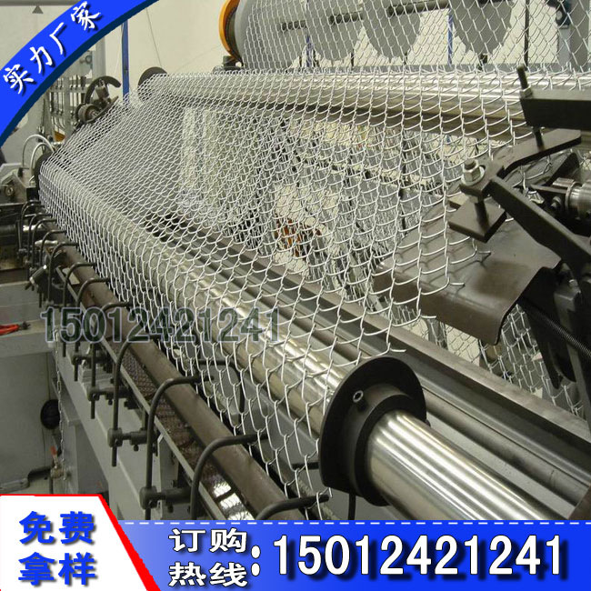 鍕捐姳緗戞姢鏍忕綉588254