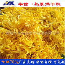 ՚ܟýzʾSջəCʾհ׾պɷO