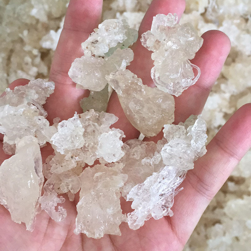 新货植物燕窝_拉丝雪燕 新货植物燕窝 组合桃胶 - 阿里巴巴