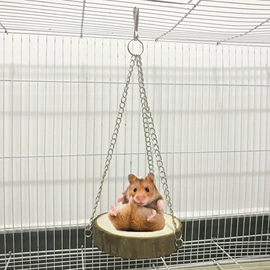 鸟笼;鸟类;宠物周边用品