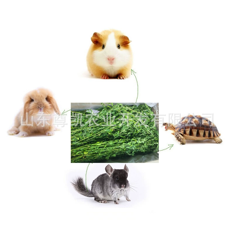 2023 Новый Сушеный Люцерна Один Кг Лист Люцерны Зеленый Корм Для Кролика Тоторо Домашнее Животное Свинья Кормовая Трава Молярные Закуски