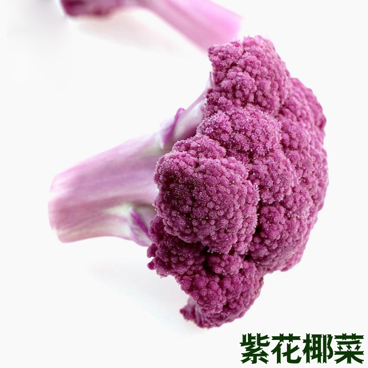 紫花菜种子紫剑紫色菜花春秋季特色紫晶一号花椰菜种籽蔬菜种孑 阿里巴巴