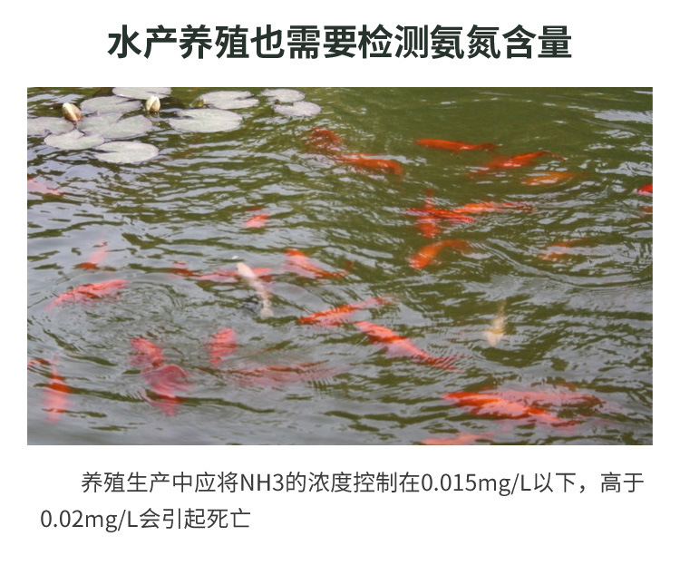 B09详情1-水牛_03