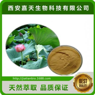 natural Lotus extractive Lotus leaf base 2% Lotus extractive 475-83-2