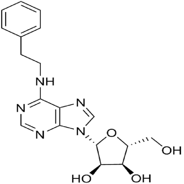 6-苄基氨嘌呤核糖甙/6-苄基氨嘌呤核苷/1g/袋