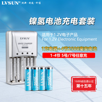 龙威盛 5号充电电池套装新一代智能快速充1充4电2500mAh ktv电池