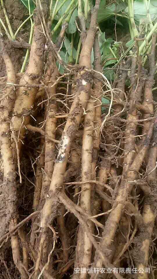 微信图片_2017090512254823