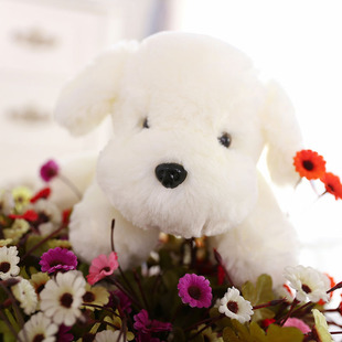 ���l��ɫ�ɐ���ſ������ë�q���܇�d�[���������նY��ץ�C����
