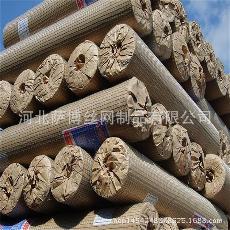 镀锌电焊网 建筑抹墙电焊网厂家现货批发