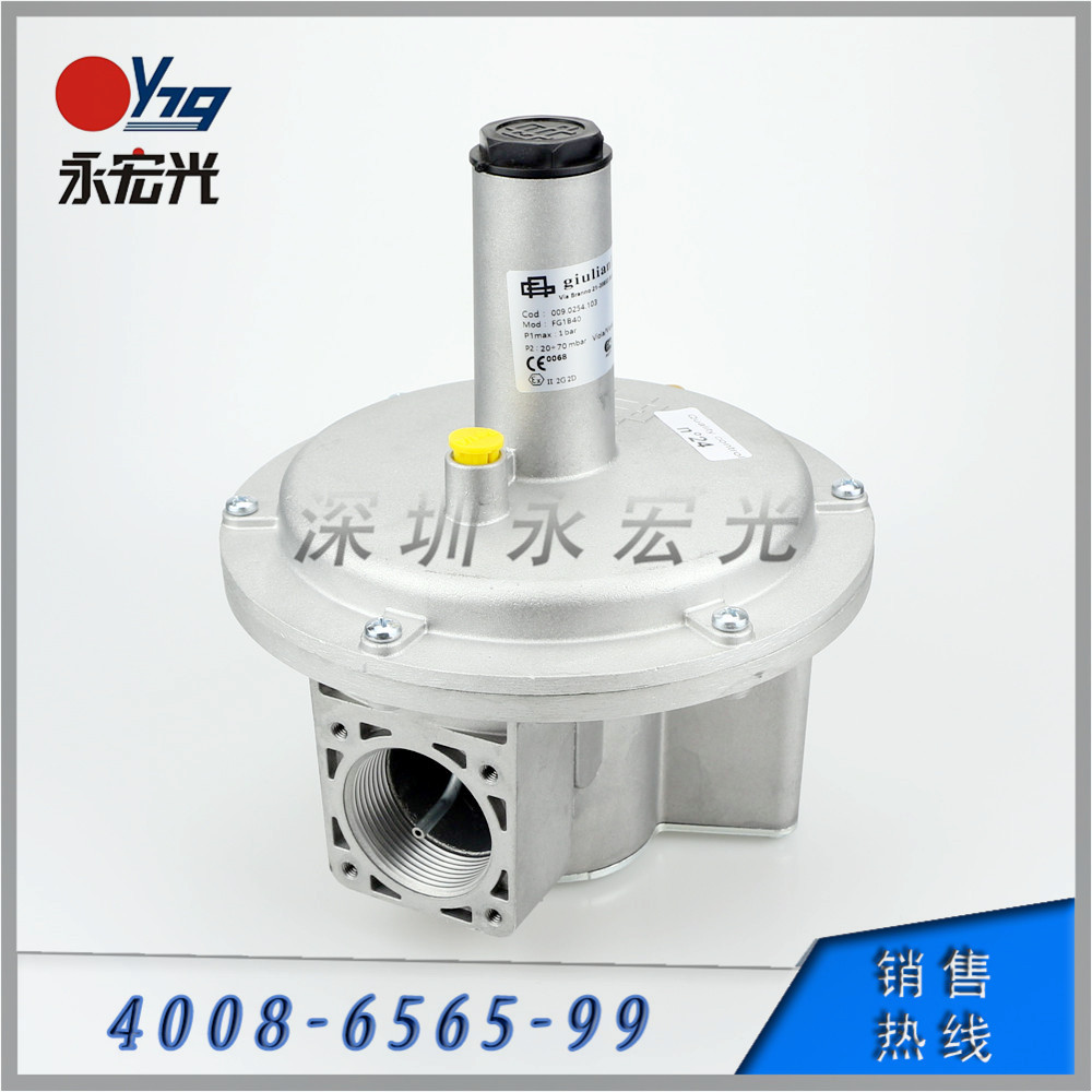 贵龙100%原装正品保证FG1B40燃气调压阀 现货销售