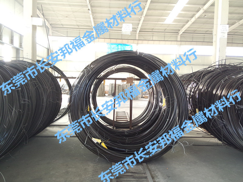 P41204-143104_副本