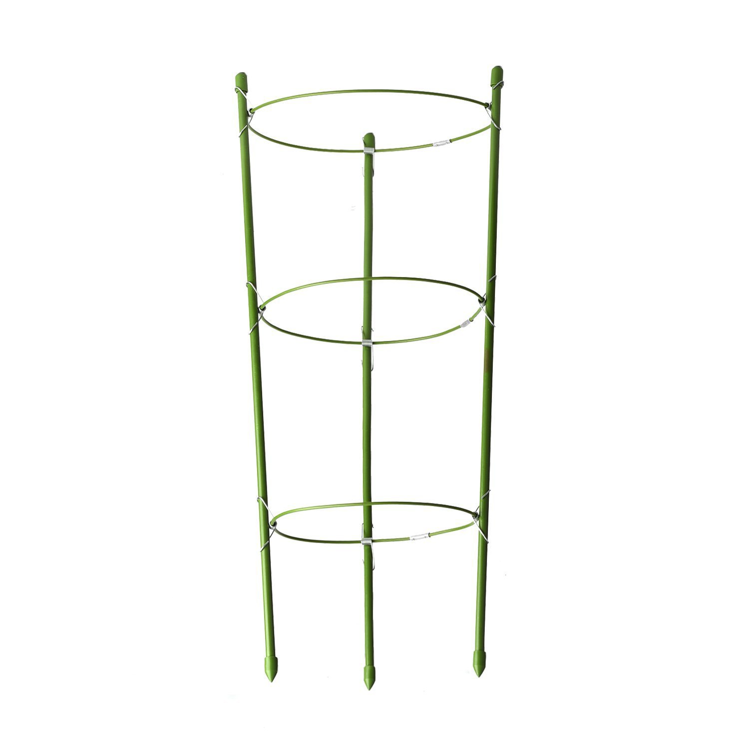 61MicONGo+L._SL1500_