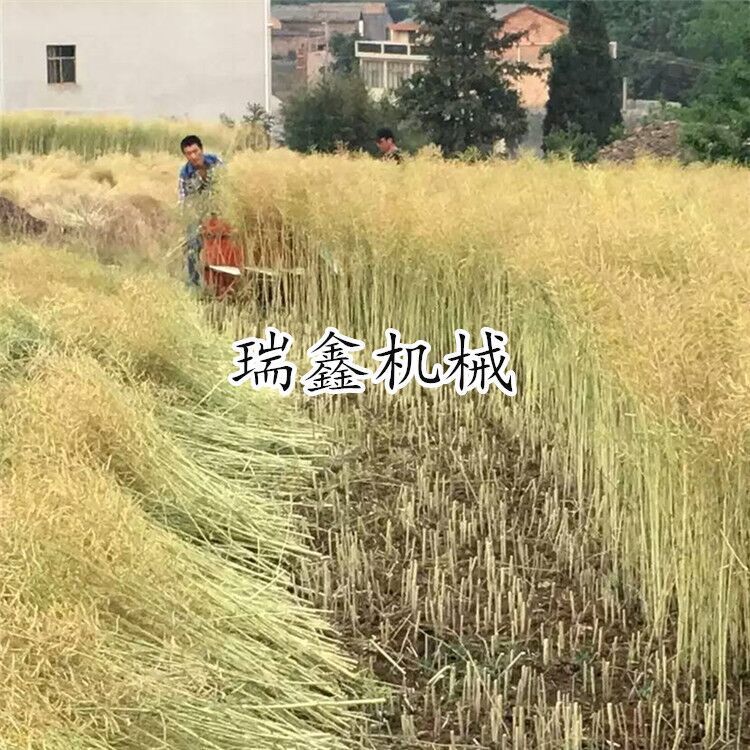 籼稻晚稻割晒机 生产销售芦苇割晒机 开封