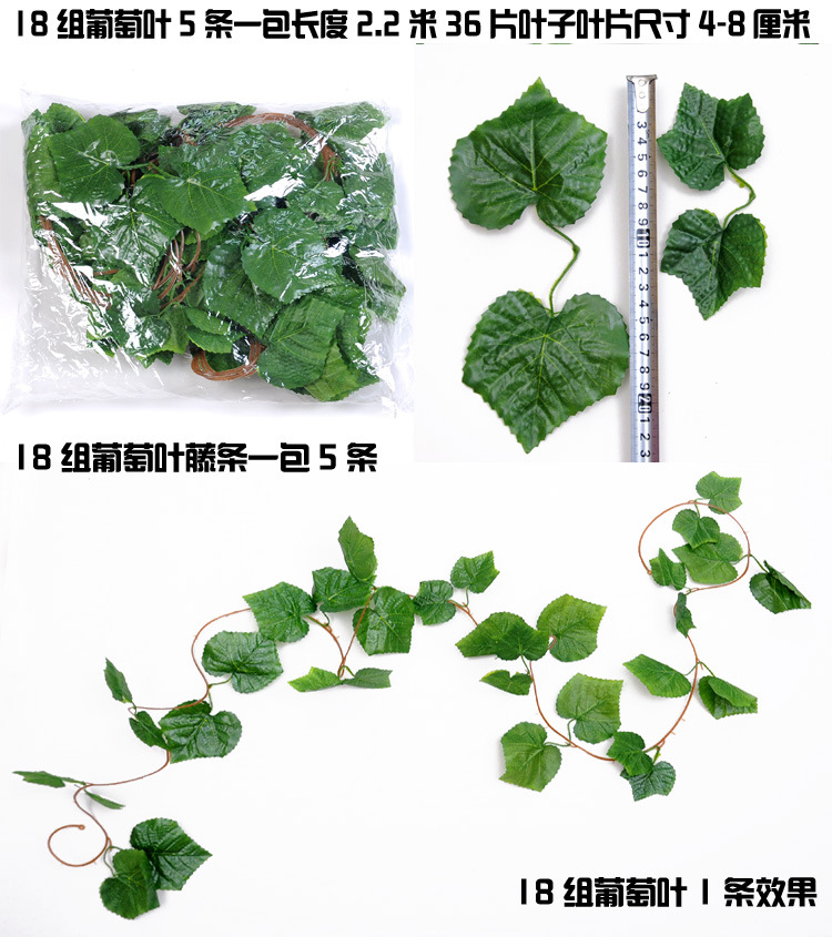 仿真绿萝