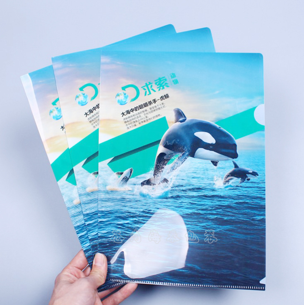 厂家定做A4资料夹 L型PET文件夹 PP书封皮|ms