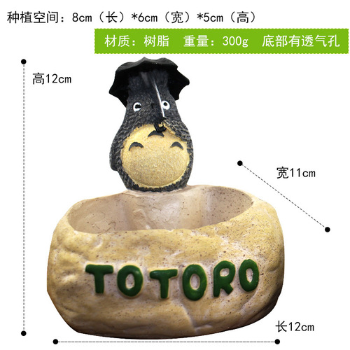 totoro Totoro green plant micro landscape succulent resin flowerpot DIY doll Doudoulong succulent flowerpot wholesale