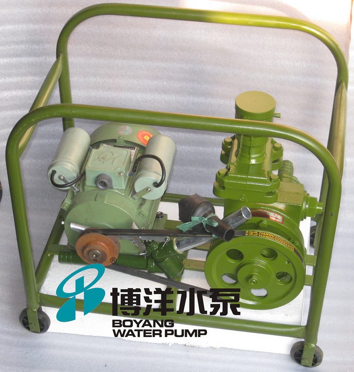 西藏，云南工博牌JB-70手摇,电动二用计量加油泵