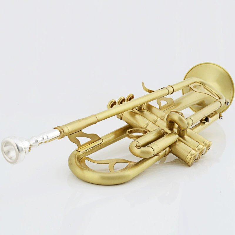 津宝 Small JBTR-450 Small Musical Instrument Brushed Matt Small Wholesale Tender Contact Customer Service