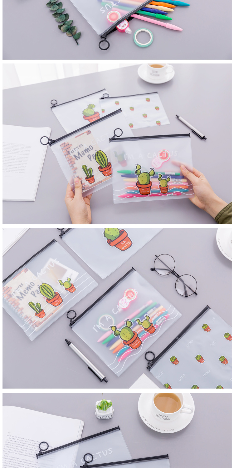 File Transparent Frosted Cactus Large Capacity Student Stationery Pencil Case display picture 3