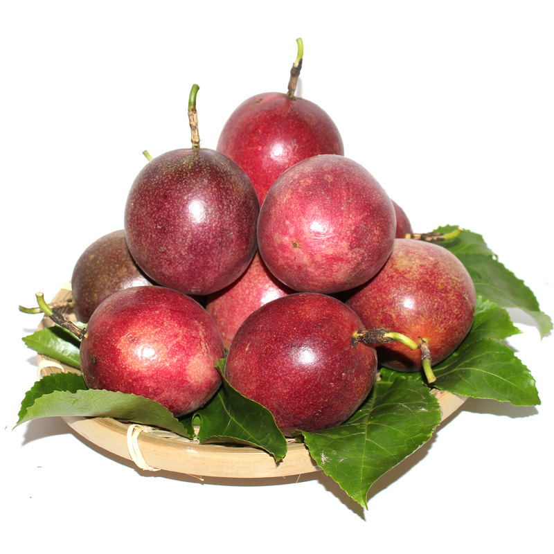 Passion fruit Tropical fruit fresh Passionflower Eggs, fruit Season fruit FCL 5 Red berries