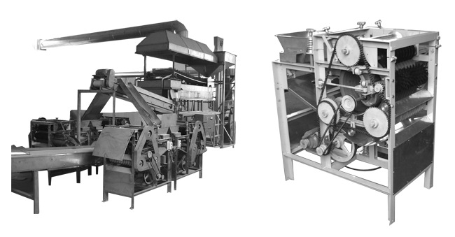 湿法花生脱皮机/鱼皮花生前期处理机 /花生烹饪前期设备