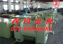 Z450-3/315KW/220V/397rpm����늙C�S늙C�ӱ�