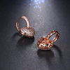 Cute brand earrings, Japanese and Korean, micro incrustation, internet celebrity