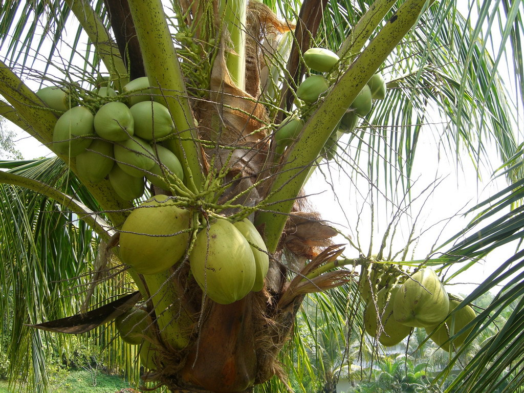 01300000111348121170251975234