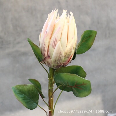 Imperial Flower Large Artificial Flower Silk flower Spend eternity Decorative flowers background Cross border Source of goods
