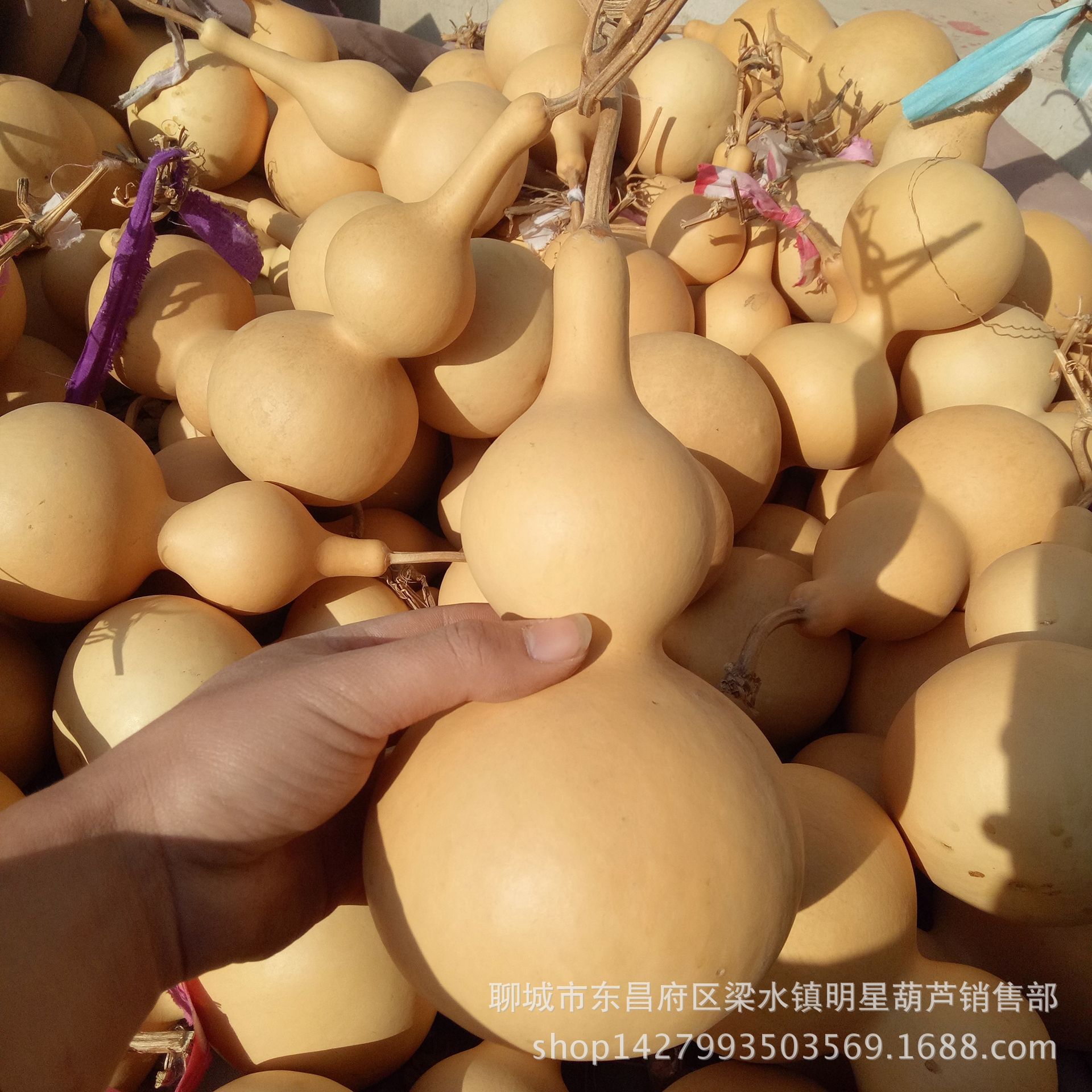 MYXJ_20171211125043_fast