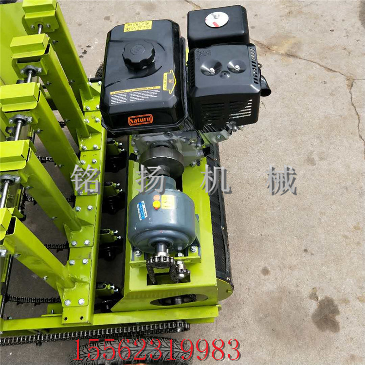 新型种蒜机哪里有卖烟台自走式插蒜栽蒜机