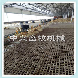 种鸡用塑料网床 漏粪地板高清图片 鸭舍漏粪板规格