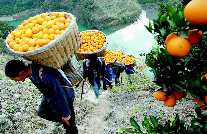 W020120118271328594889