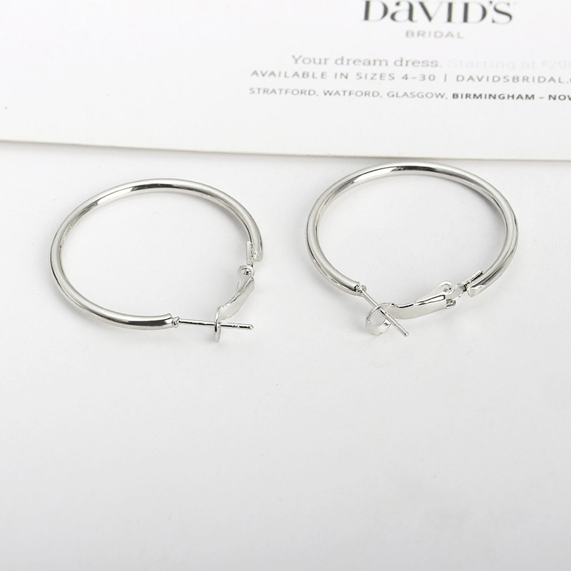 New Simple Geometric Circle Earrings Hypoallergenic Stainless Steel O-ring Hoop Earrings Wholesale display picture 10