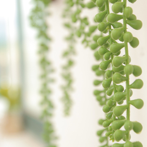 Artificial Flower Wholesale Market Lover's Tears Rattan Plastic Artificial Flower Bouquet Artificial Succulent Creative Wall Decoration
