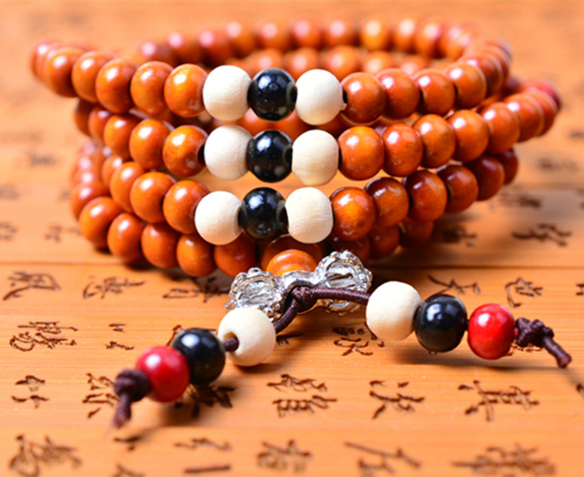 DSC_0065 - 副本_副本