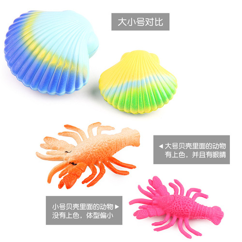 Directly sold by the manufacturer, the ocean series of large expansion toys will hatch large scallop shells of marine animals when soaked in water.