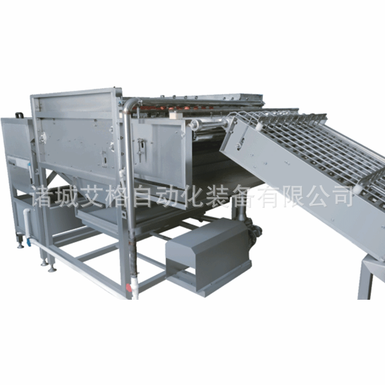 源头厂家机供应蛋品机械鸡蛋剥壳机 供应全自动鸡蛋剥壳机