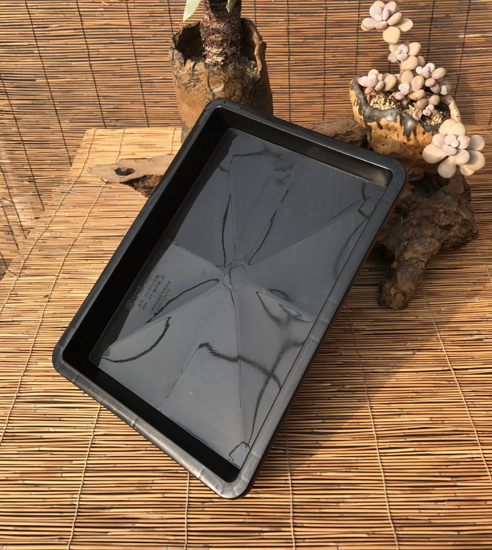 QQ图片20170219222020