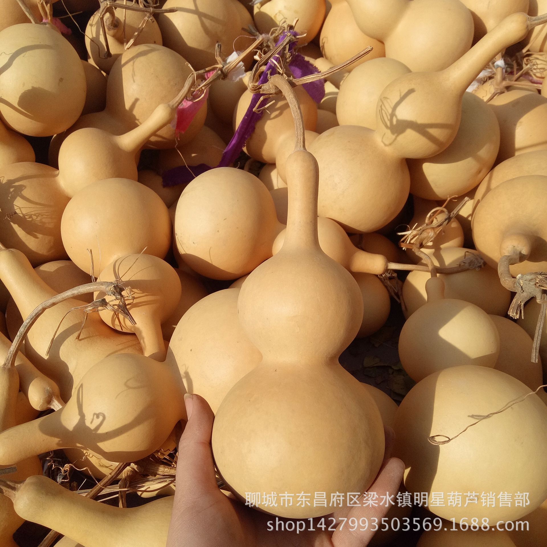 MYXJ_20171211125116_fast