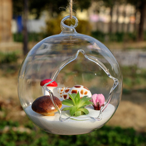 Creative hanging moss micro landscape glass vase succulent glass vase hanging bottle DIY potted plant desk decoration