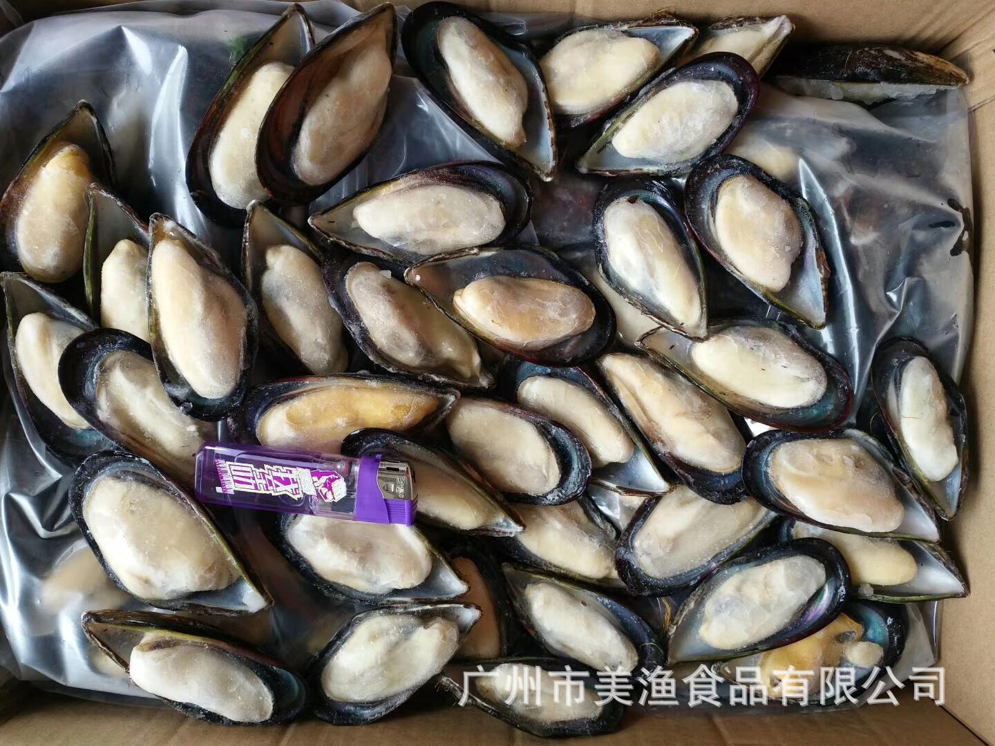 半壳新西兰青口贝 冷冻淡菜 海虹贝壳 贻贝半壳青口 带冰1公斤/盒-阿里巴巴