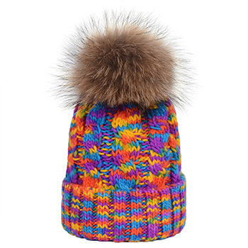 Women's Basic Simple Style Colorful Pom Poms Eaveless Wool Cap display picture 1