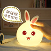 Cute rabbit, silica gel colorful night light, cartoon LED lights, remote control, anti-stress