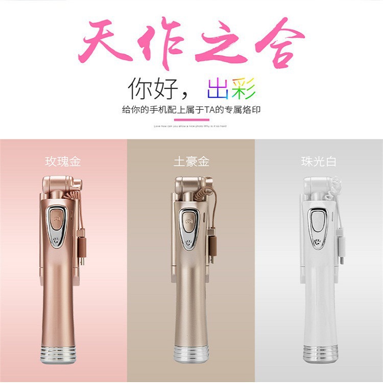 Stick selfie en Acier inoxydable - Ref 3386607 Image 9