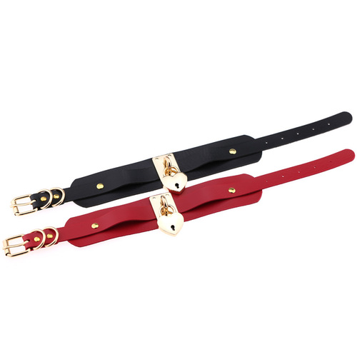 New European and American-style punk double-layer padlock metal collar for bondage, slave training, and BDSM play—fashionable neck accessory and choker.